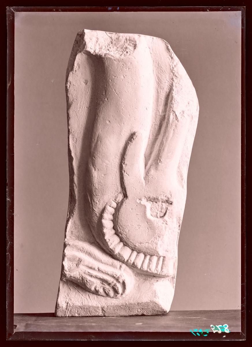 al-Dschausaq al-Chaqani, Thronsäle, Fabeltier