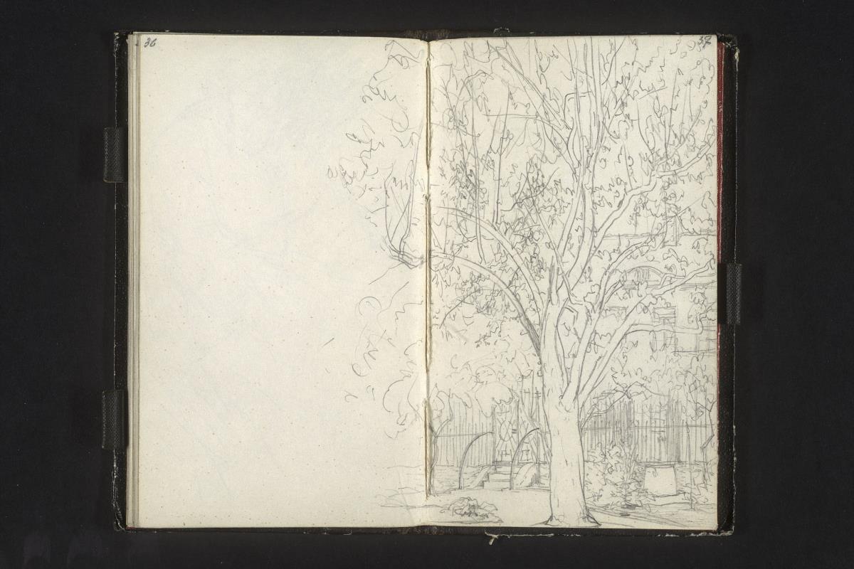 Vorstadtstraße mit Haus im Hintergrund. Vorn ein Baum