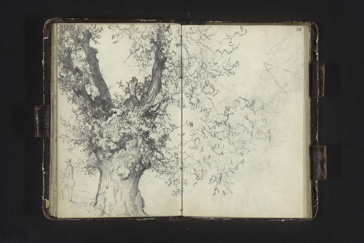 Alter Baum