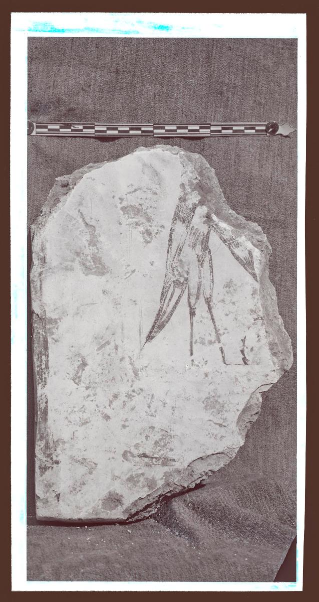 Malereien: al-Dschausaq al-Chaqani, Harem