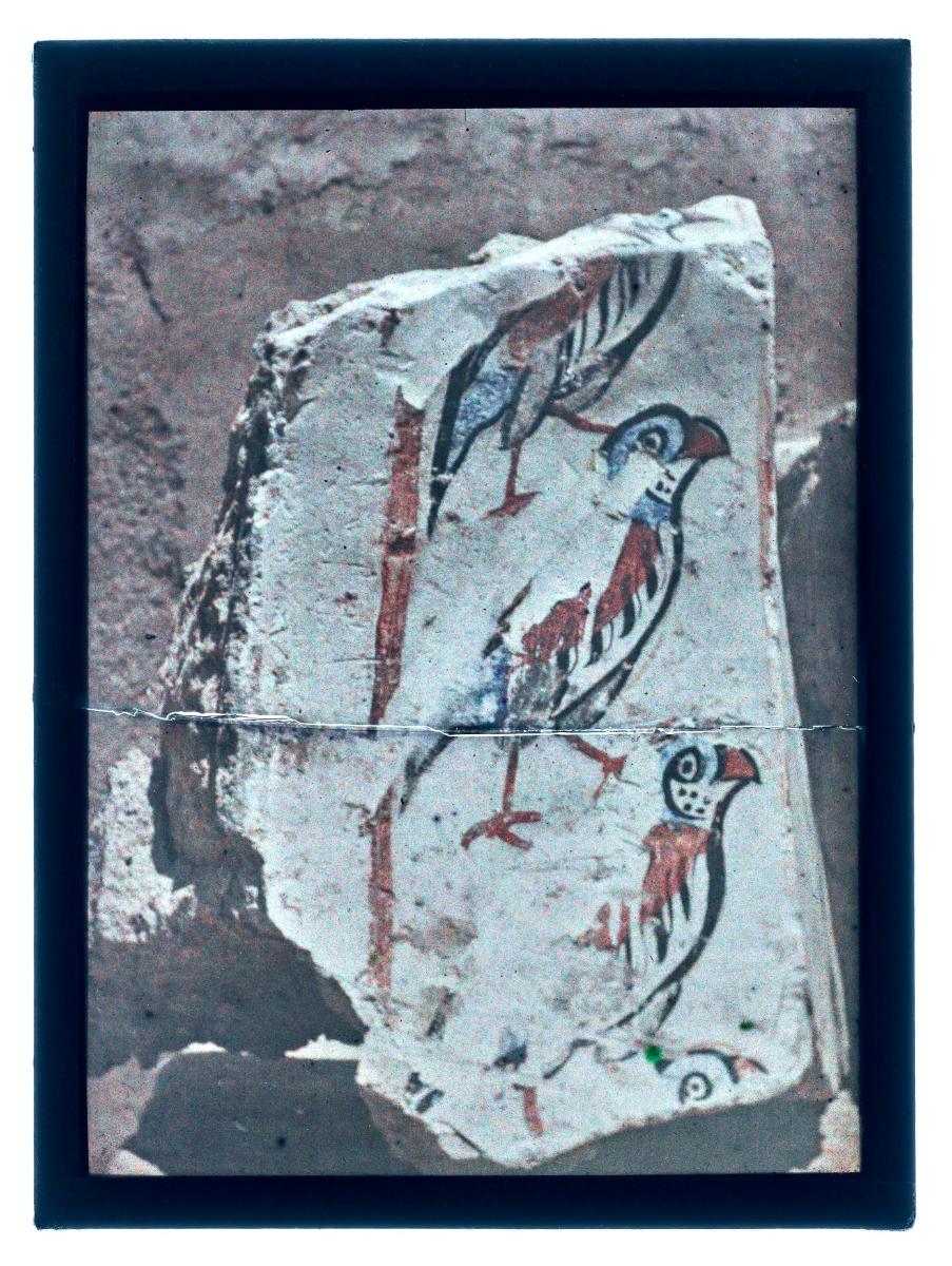 Malereien: al-Dschausaq al-Chaqani, Harem, Vogelfries