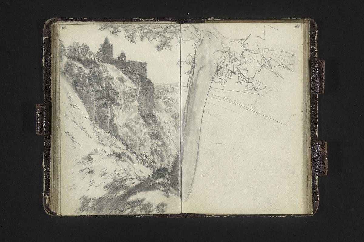 Die Rudelsburg im Saaletal