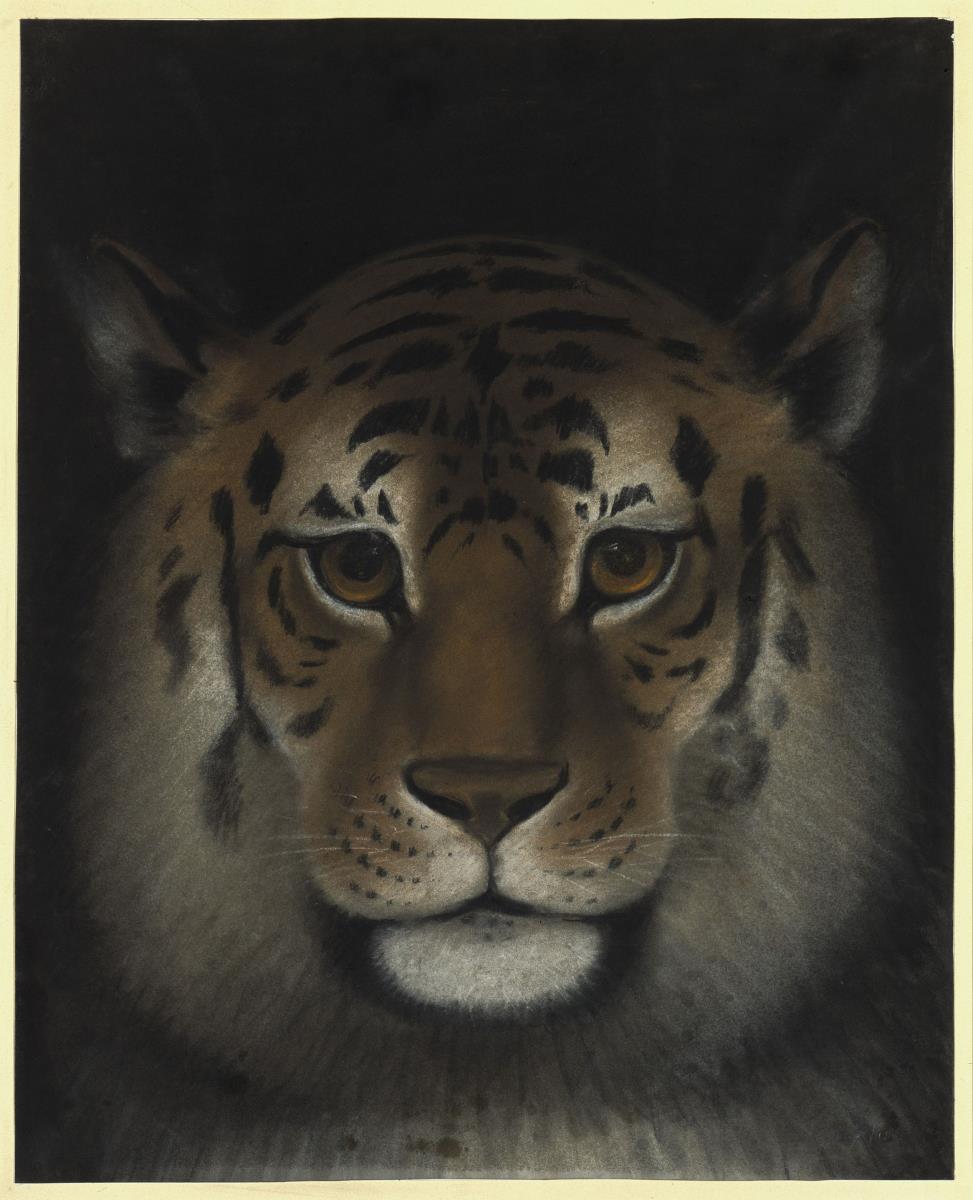 Tigerkopf