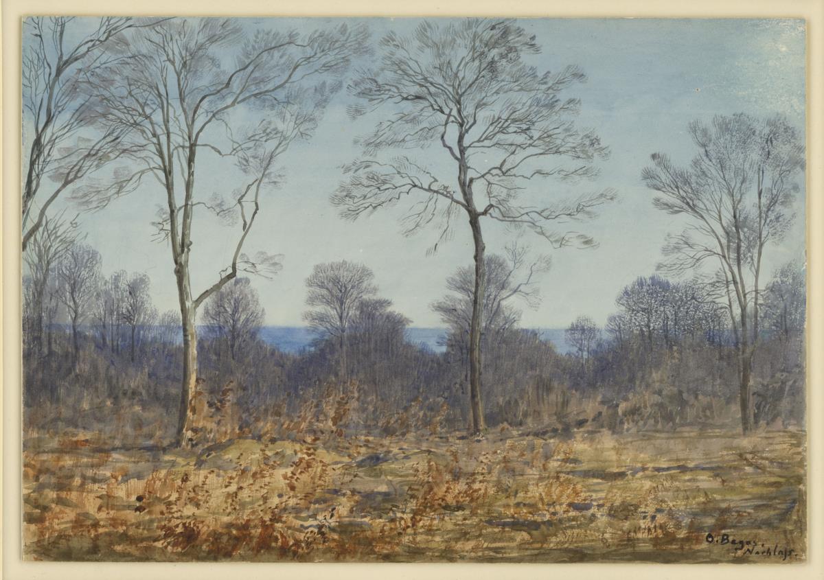 Waldlichtung im Herbst an der See