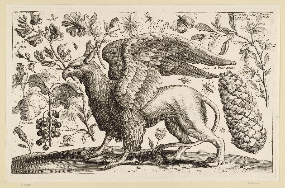 Der Greif, aus der zwölfteiligen Folge Animalium, Ferarum, & Bestiarum