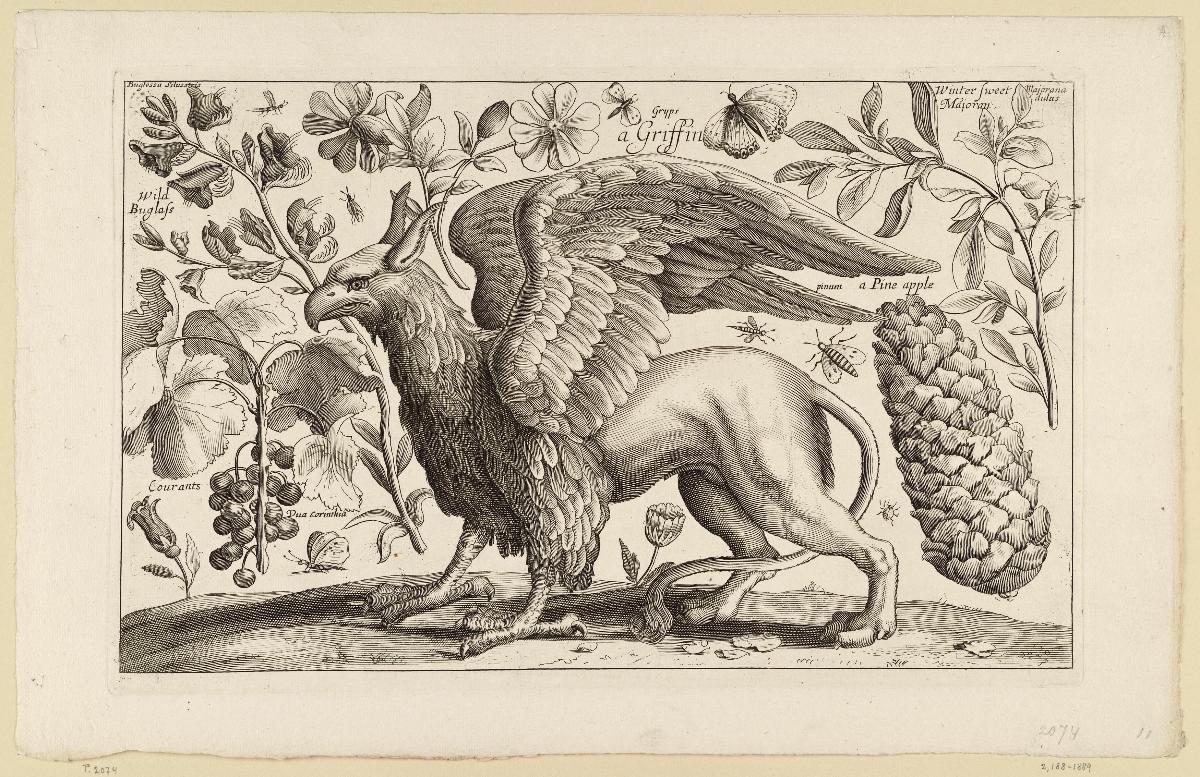 Der Greif, aus der zwölfteiligen Folge Animalium, Ferarum, & Bestiarum
