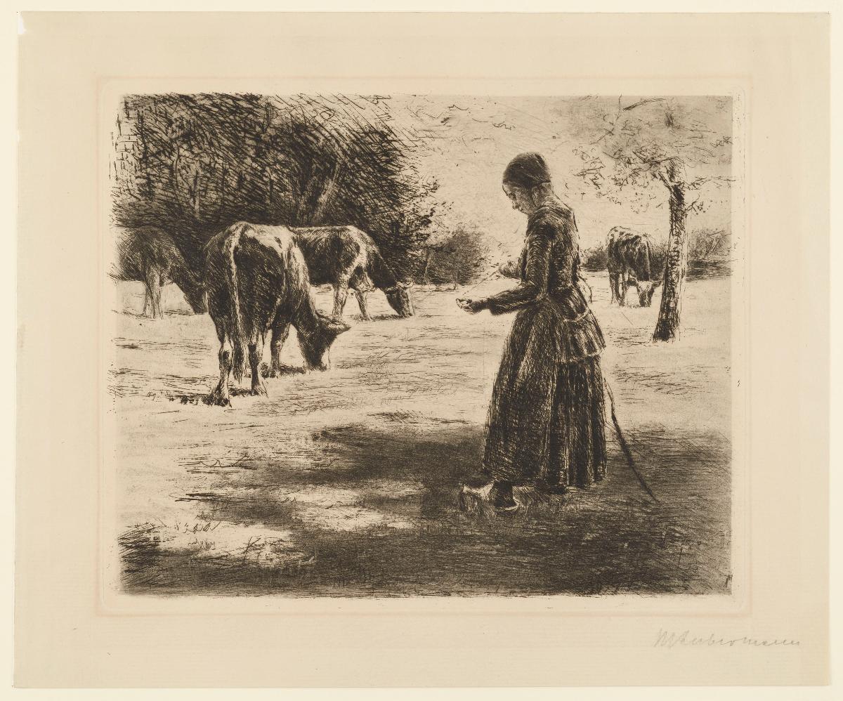 Auf der Weide (Bei Delden in Holland)