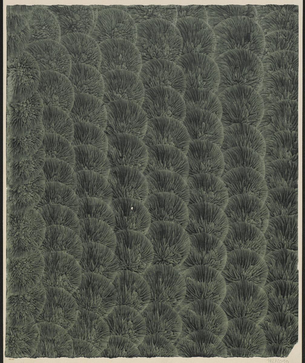 Kleisterpapier (Flächenmuster)