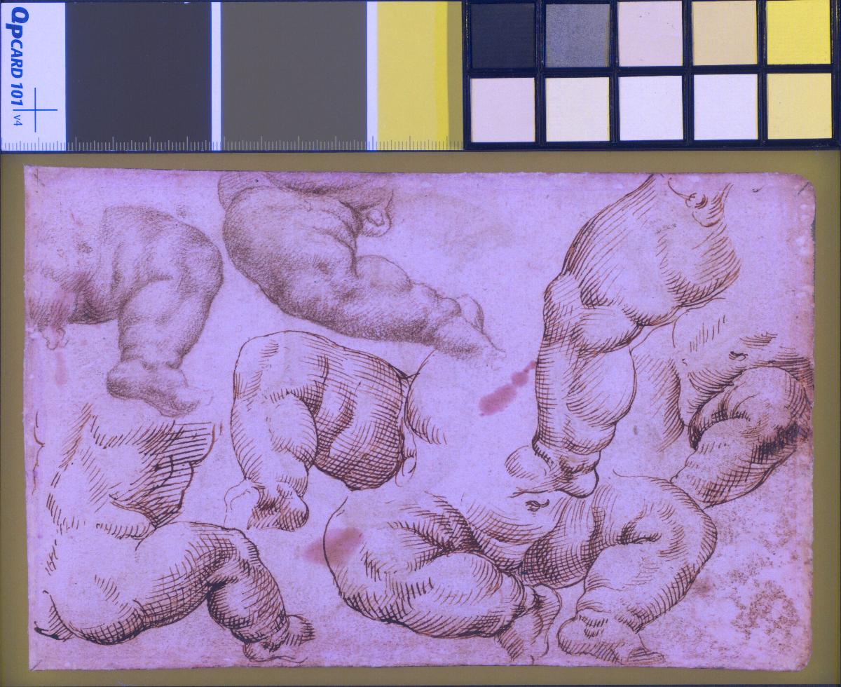Beinstudien nach den "Nil"-Kindern im päpstlichen Statuenhof