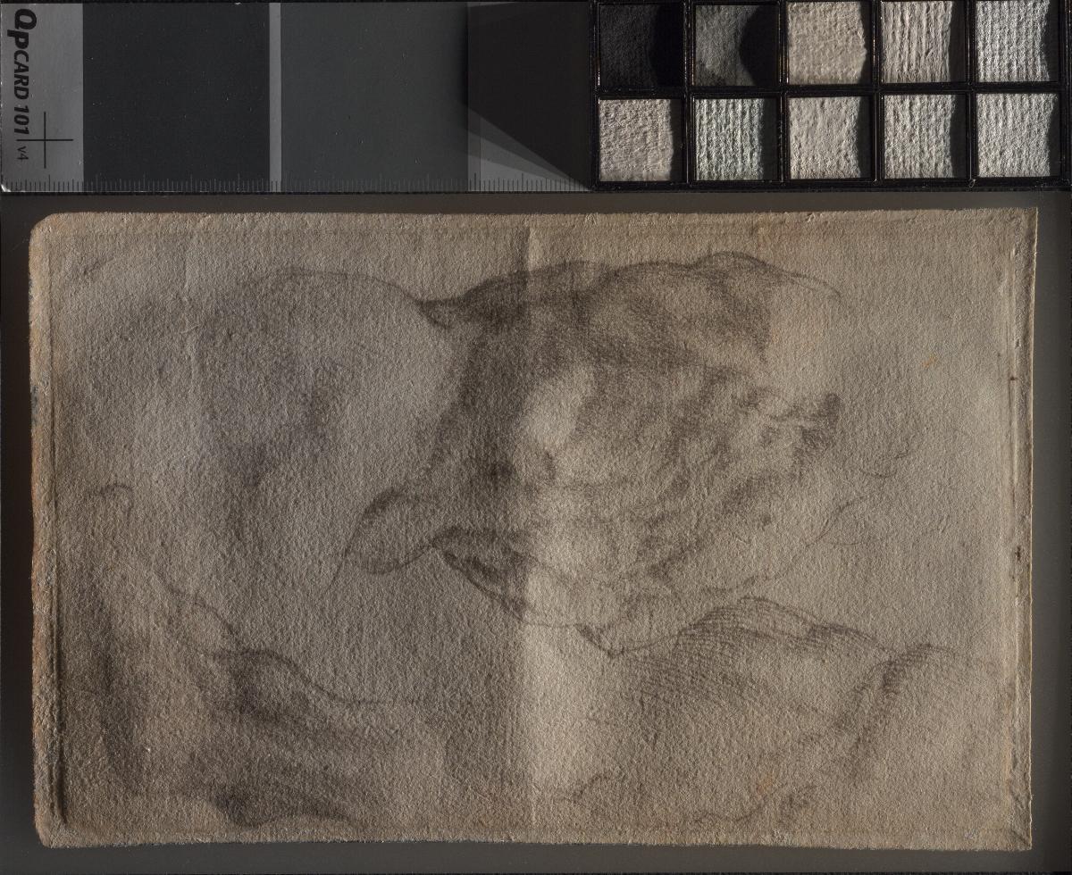 Studien nach Antiken aus dem päpstlichen Statuenhof