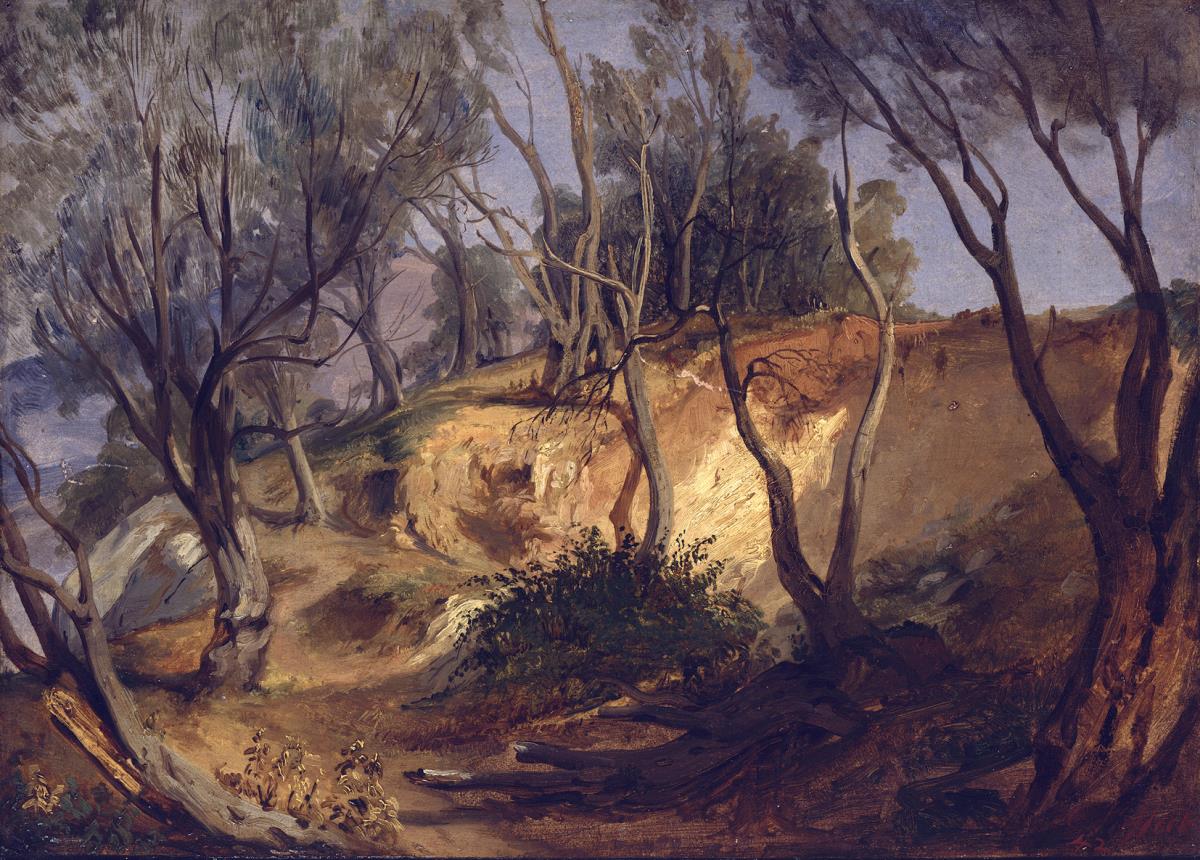 Landschaft mit Olivenbäumen