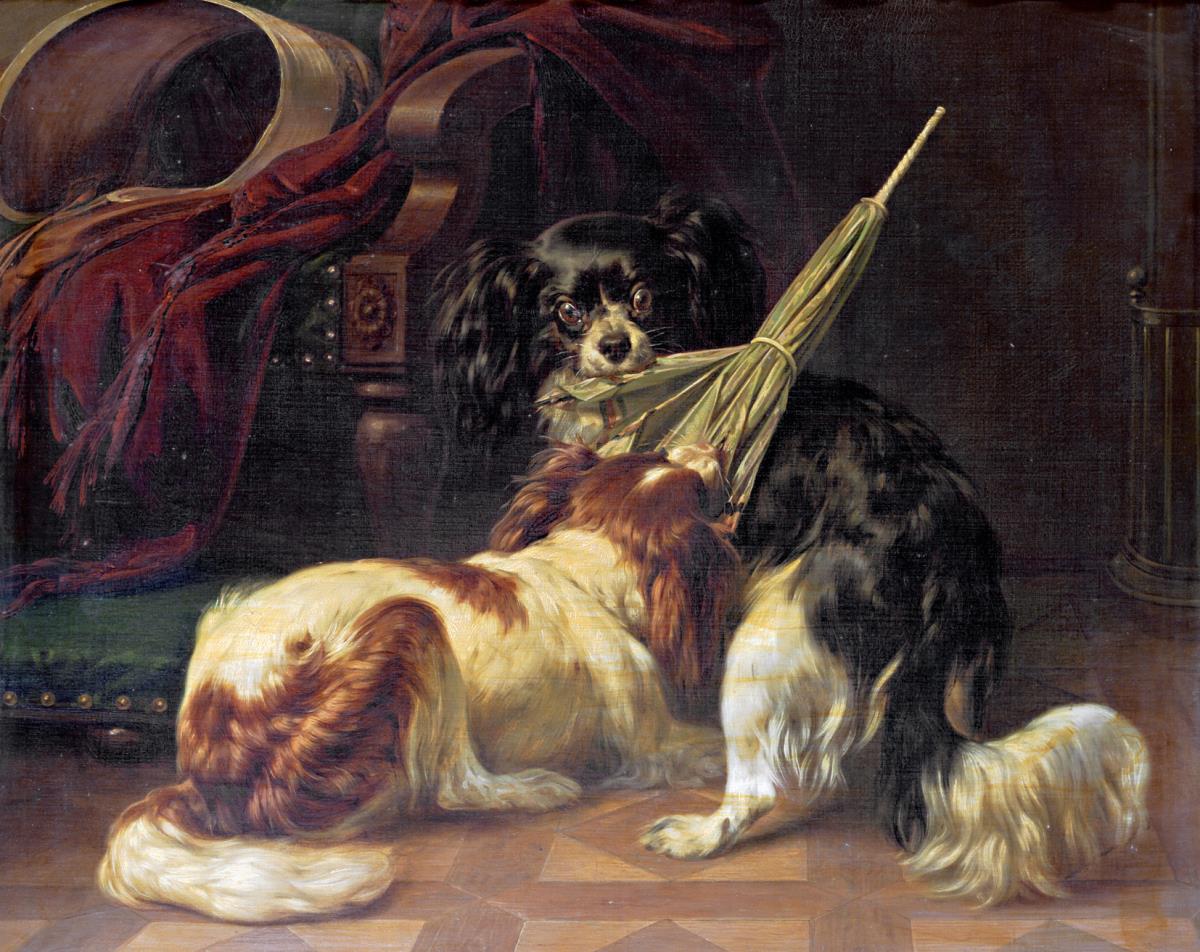 Spielende Hunde