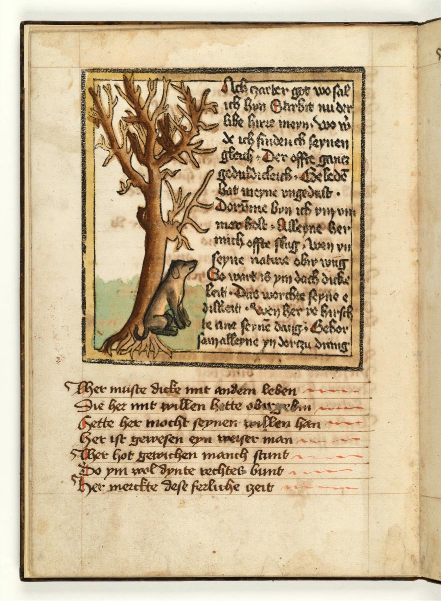 Fabel vom kranken Löwen. Die Klage des kleinen Hundes