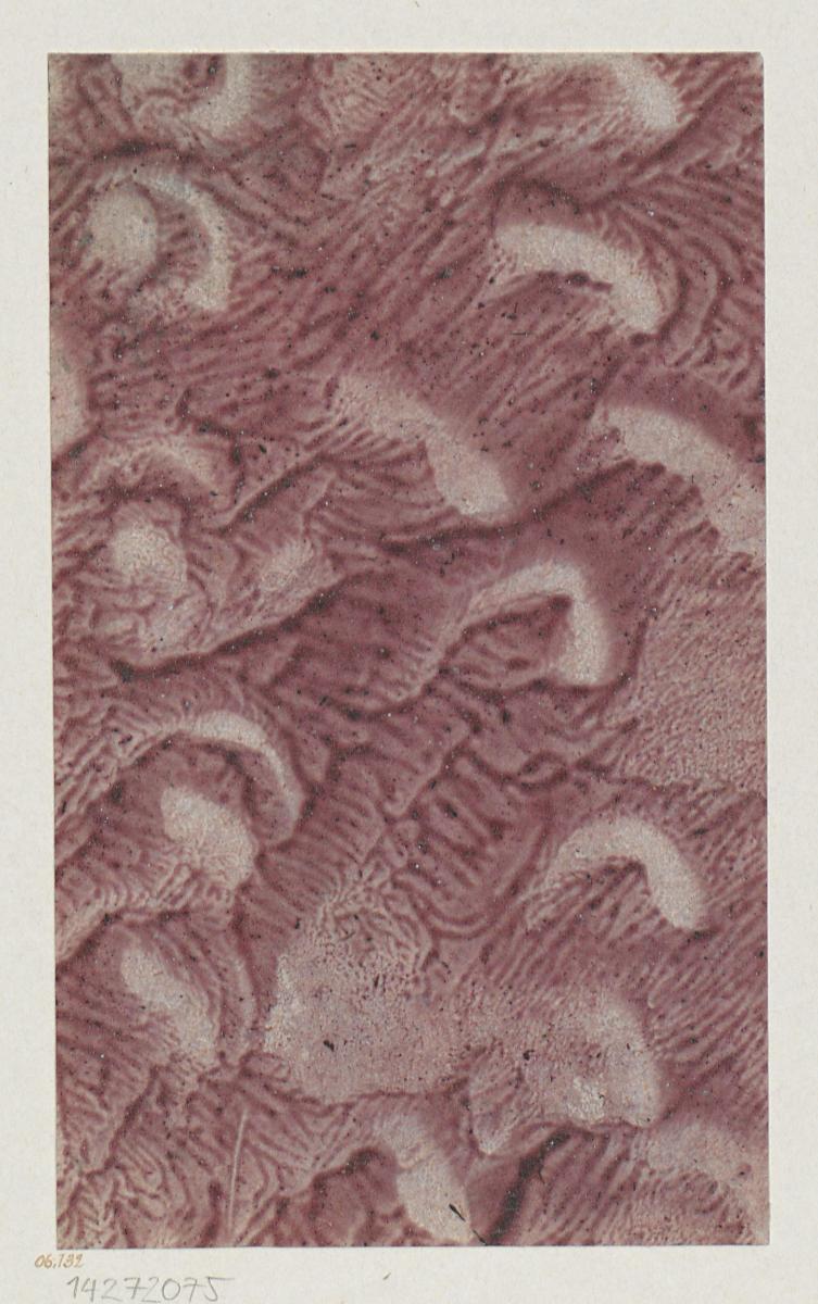 Geädertes Kleisterpapier