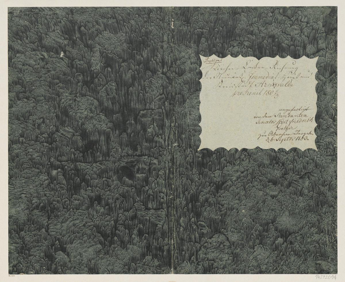 Geädertes Kleisterpapier (Einband für eine Akte mit Etikett, 1802/1803)