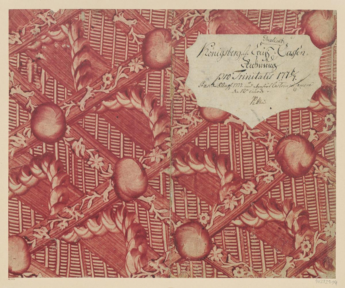 Kleisterpapier mit Verdrängungsdekor und Blinddruck (Einband für eine Akte mit Etikett, 1776/1777)