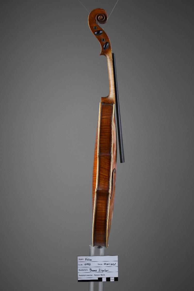 Violine