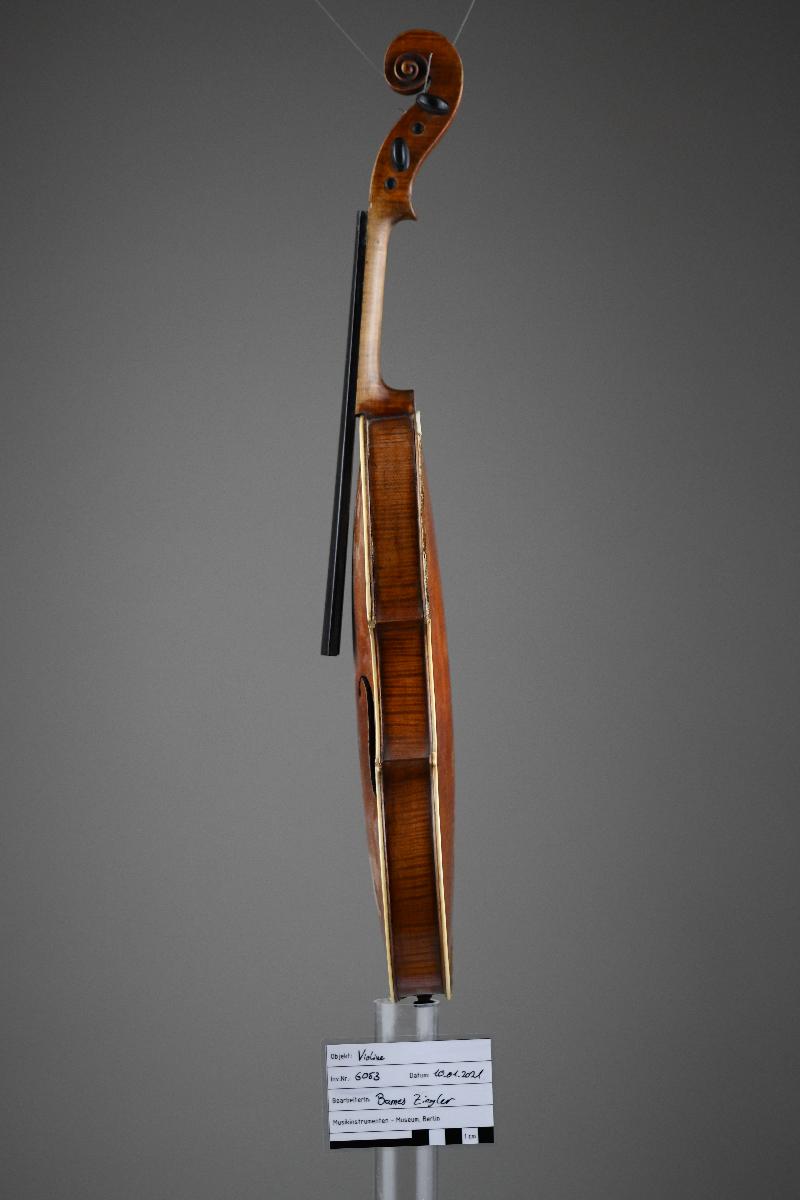 Violine