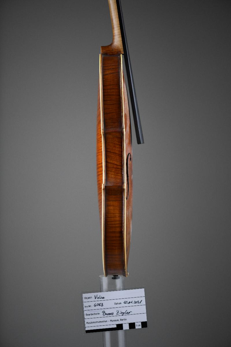 Violine