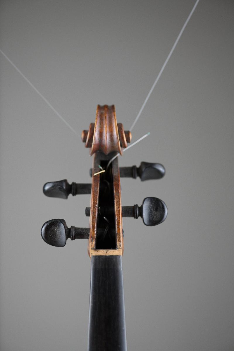 Violine