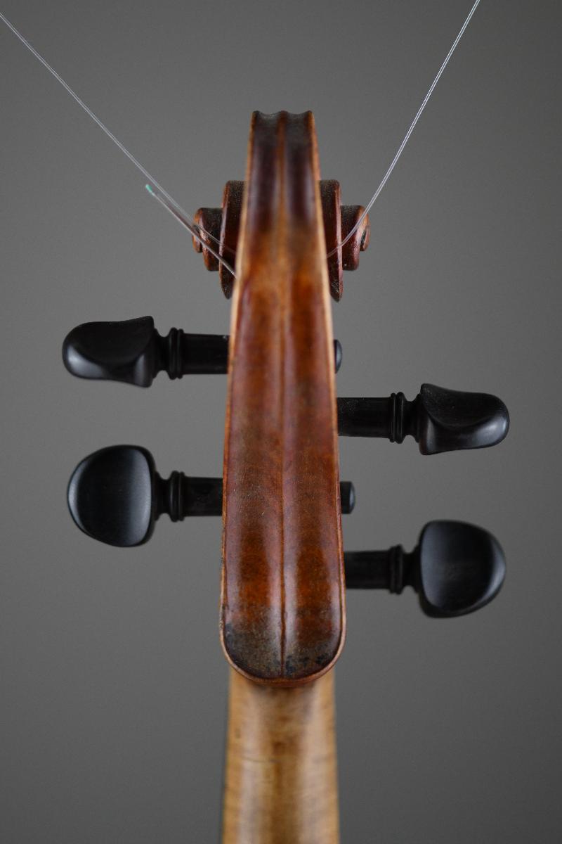 Violine