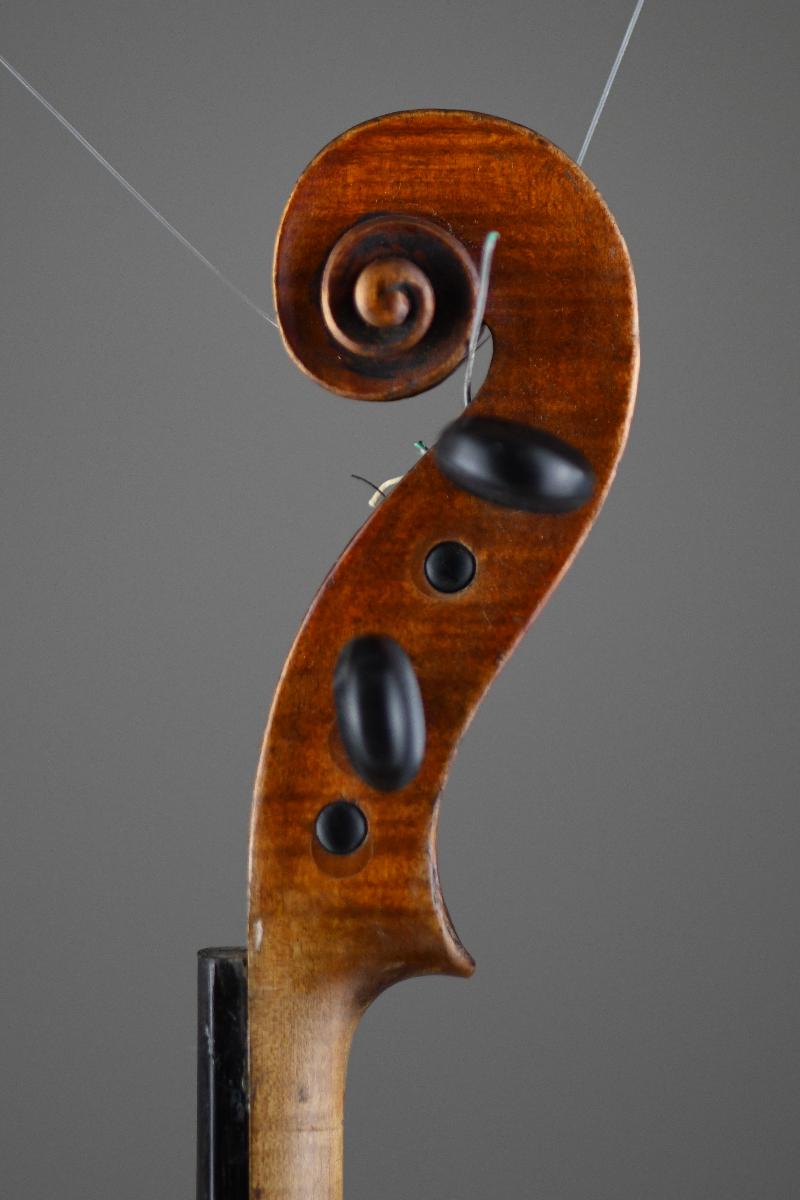 Violine