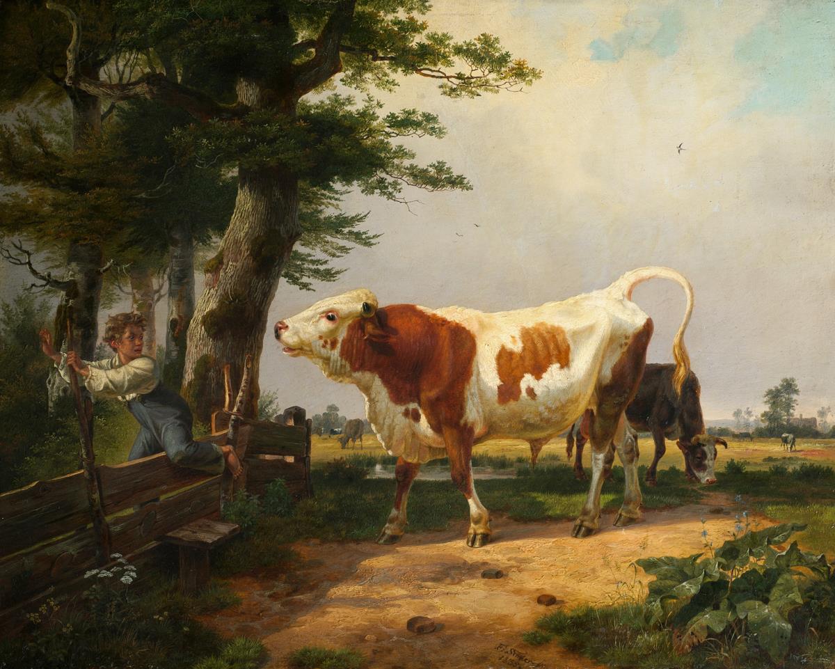 Wilder Stier