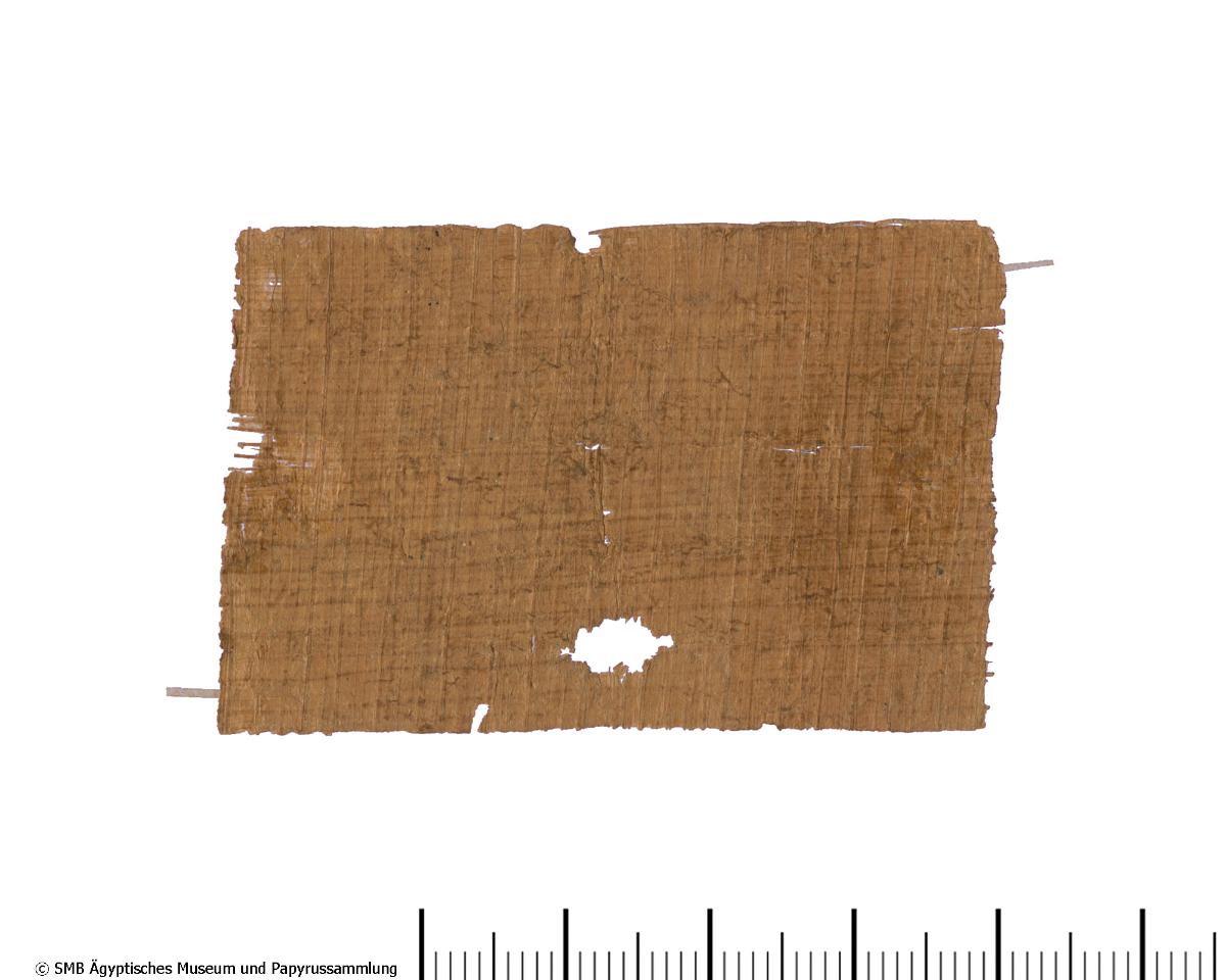 Demotischer Papyrus, Orakelfrage, den Steuererheber des Jahres 6 betreffend