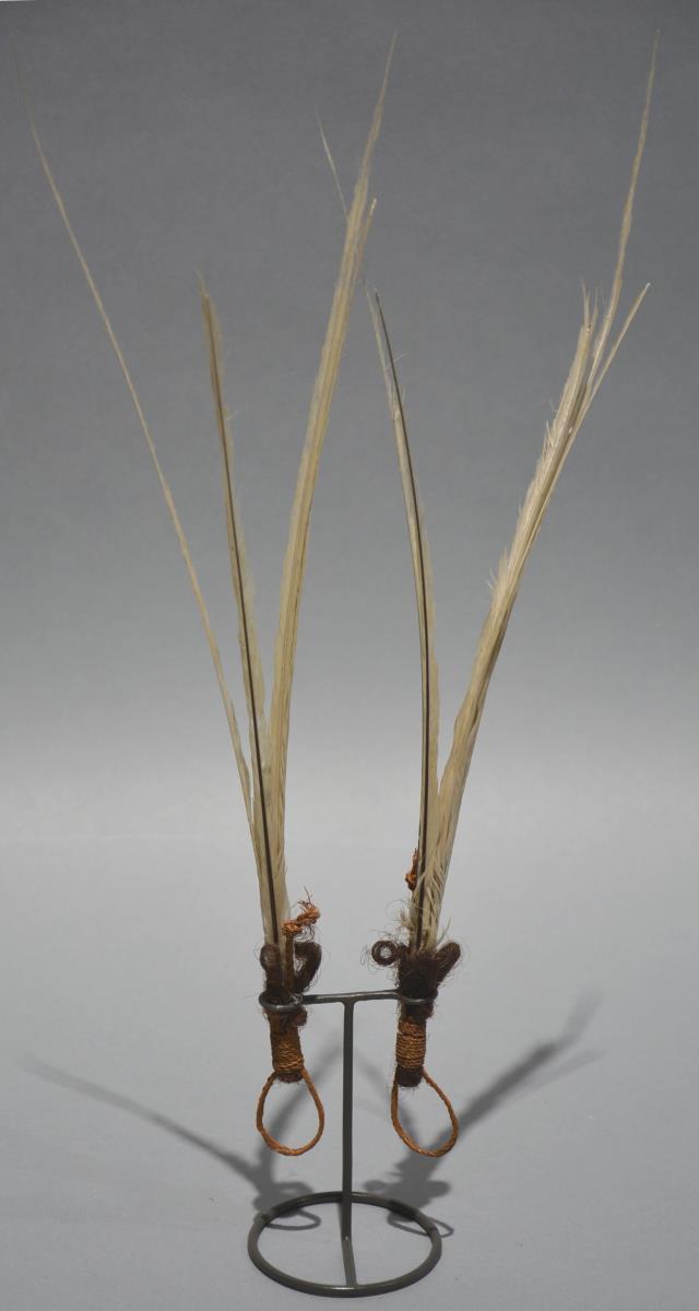 kihi
