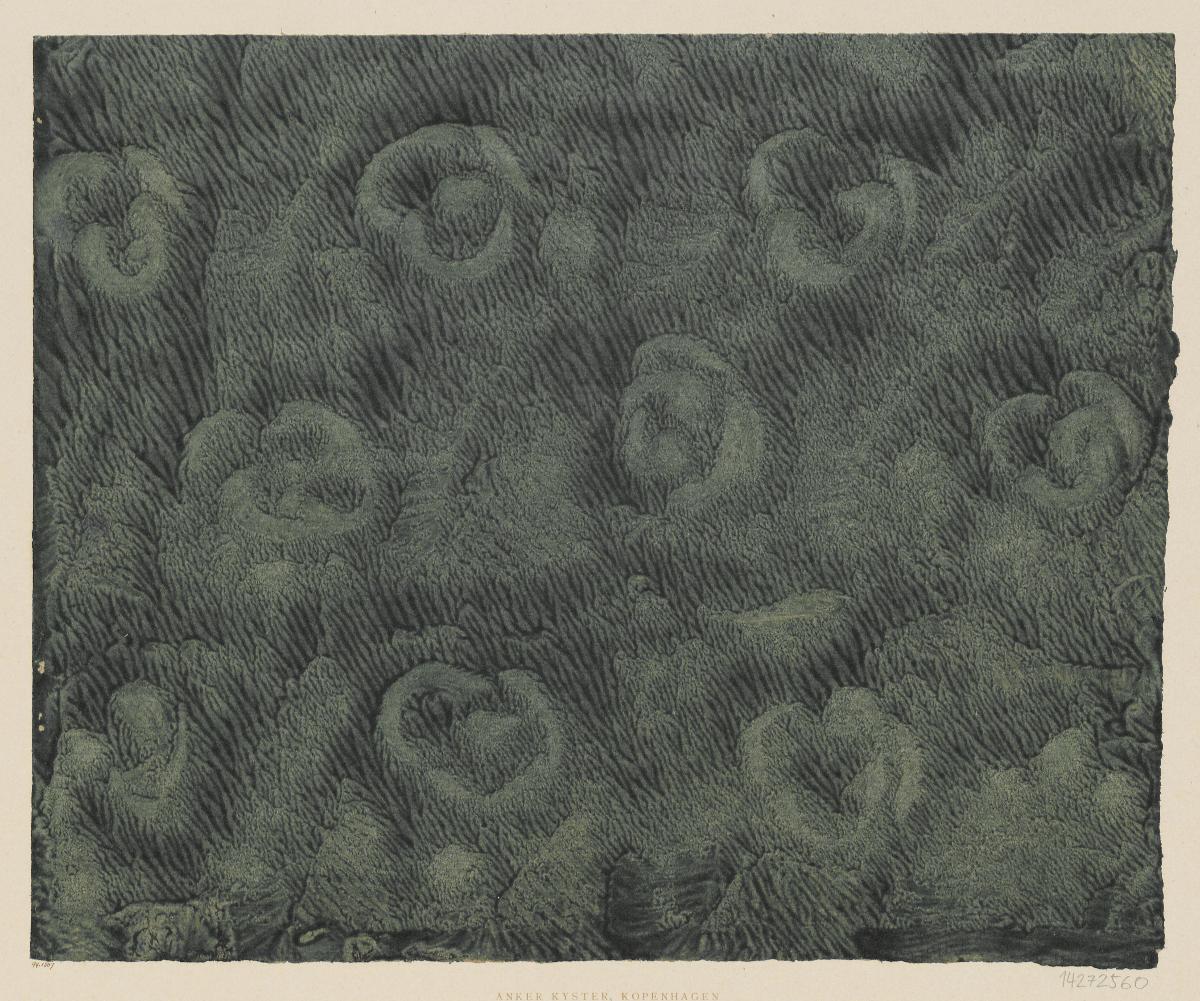 Geädertes Kleisterpapier (Blüten)