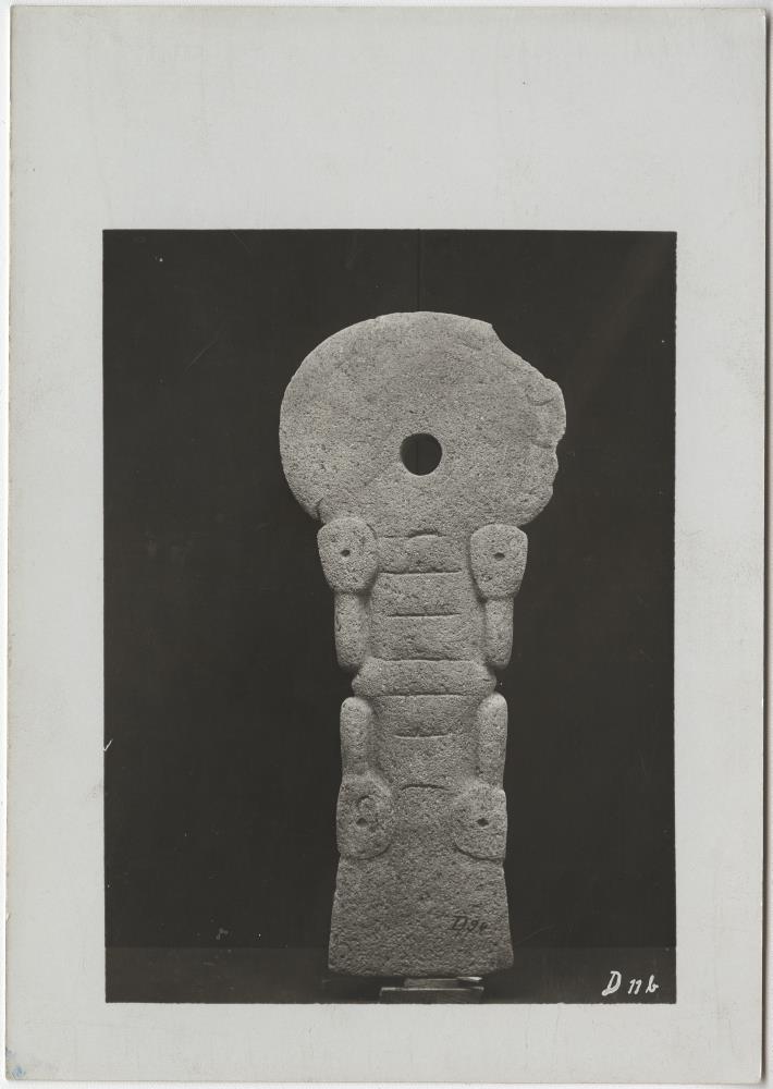 Rückseite eines Reptils. Teilstück. Sammlung Guillermo de Heredia.