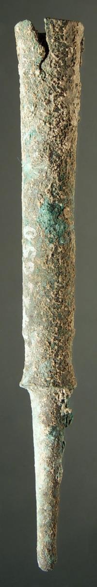 Lanzenschuh (Sauroter)