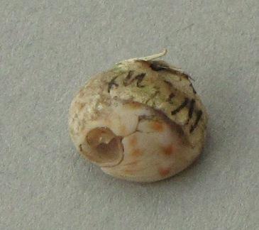 Kein Titel