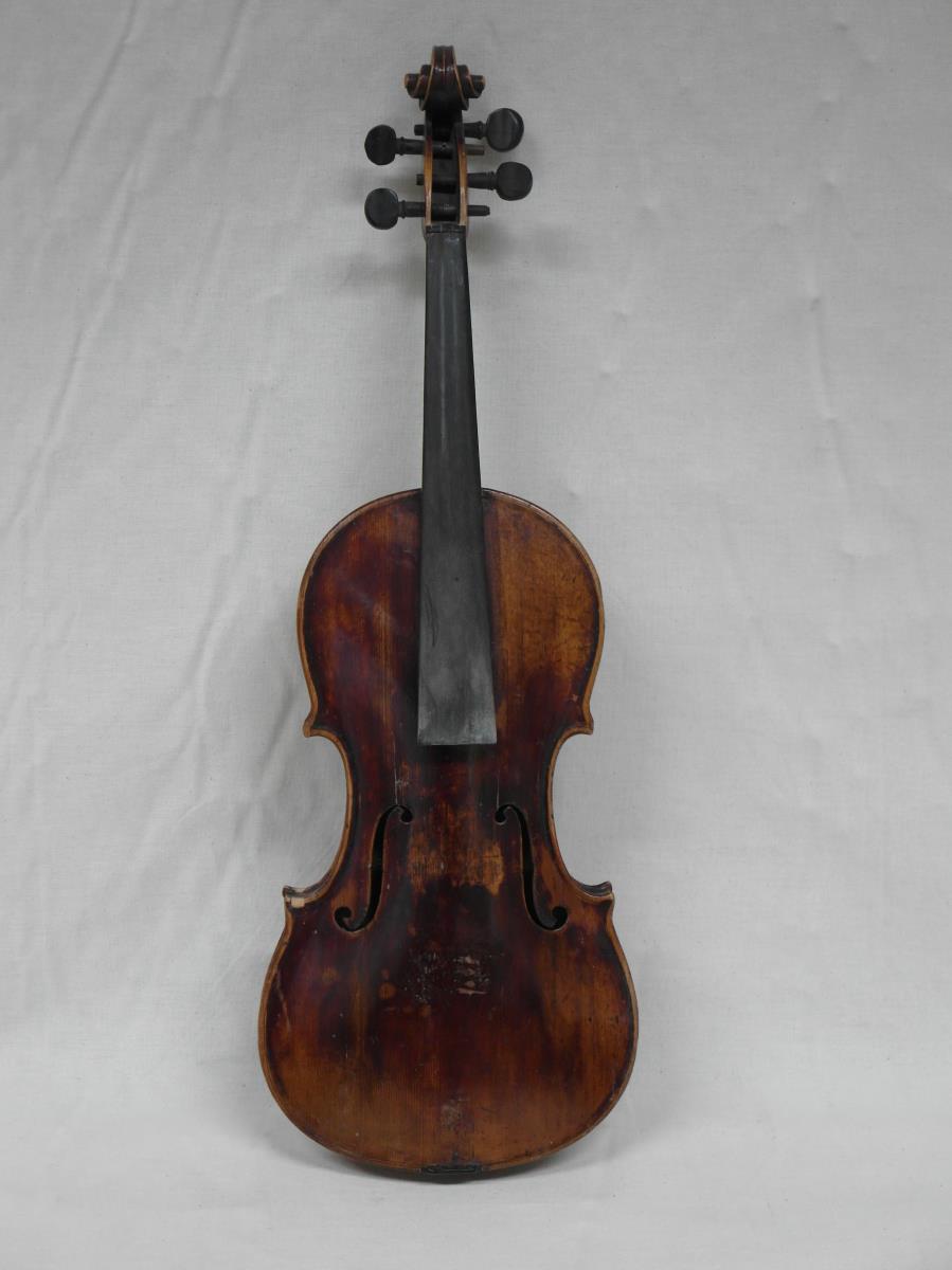 Violine