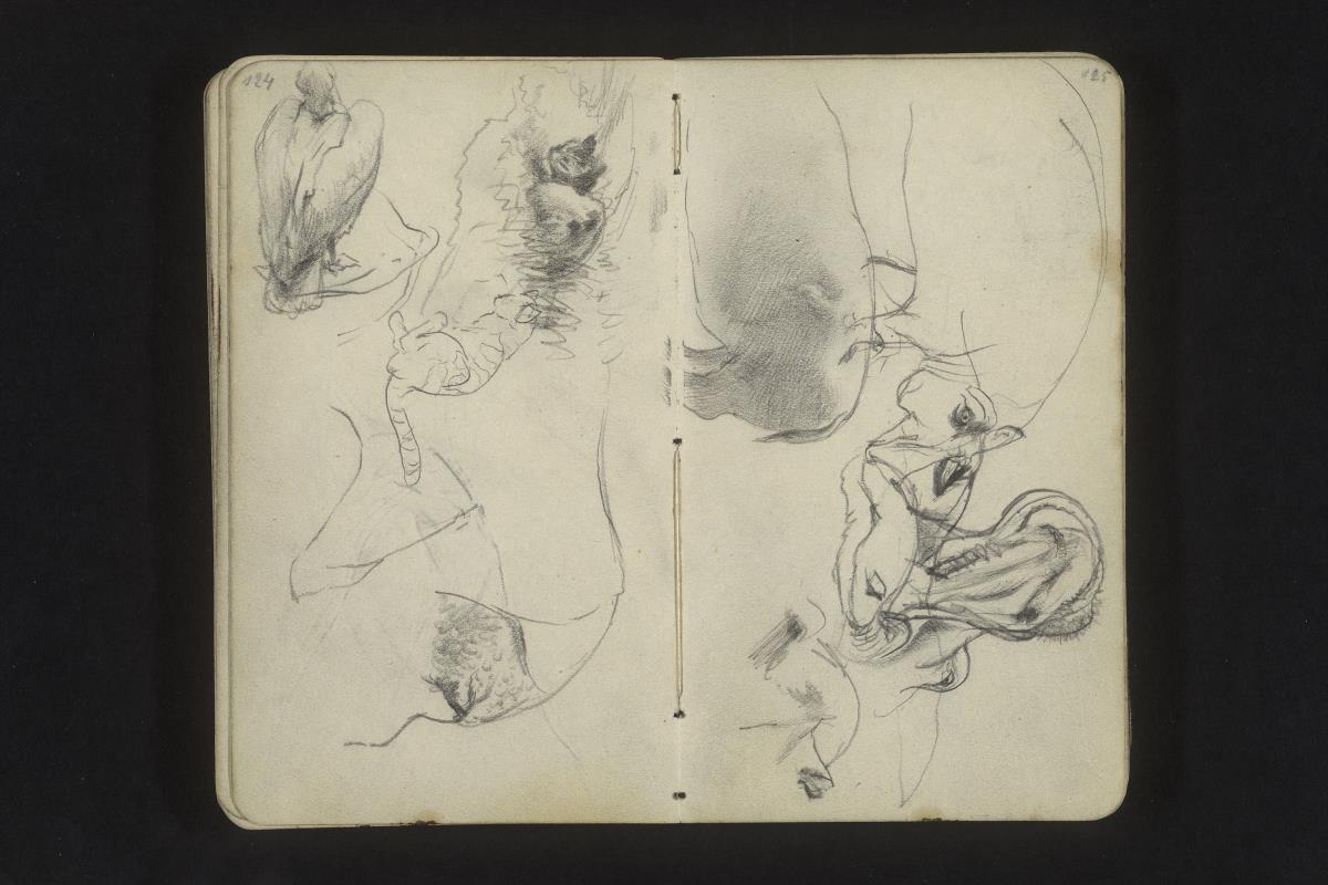 Tierstudien: Vogel, Katze, Schwein, Nilpferd