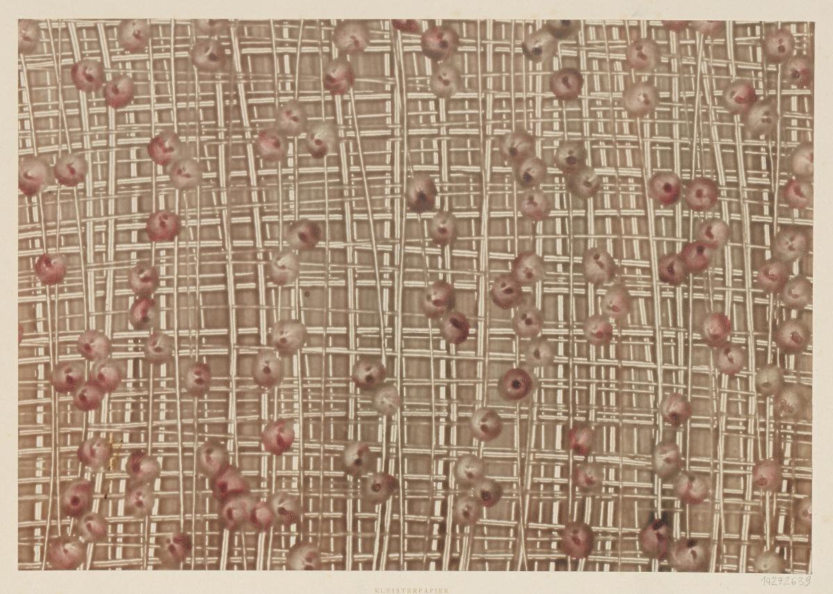 Kleisterpapier (Gitterdekor)