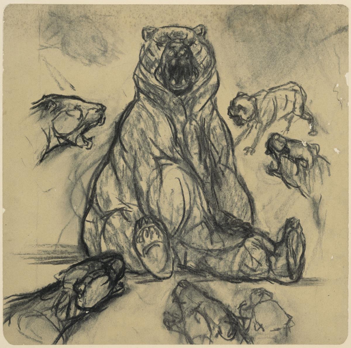 Der gestellte Bär (Russland) (Zeichnung zur Lithographie in "Kriegszeit")