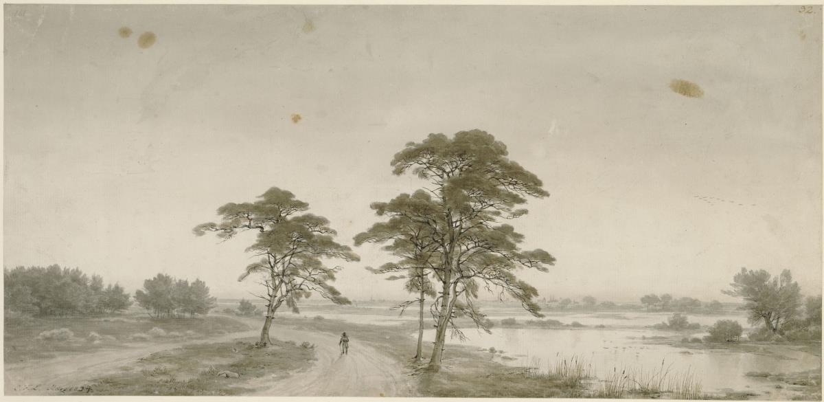 Flache Landschaft mit Wanderer