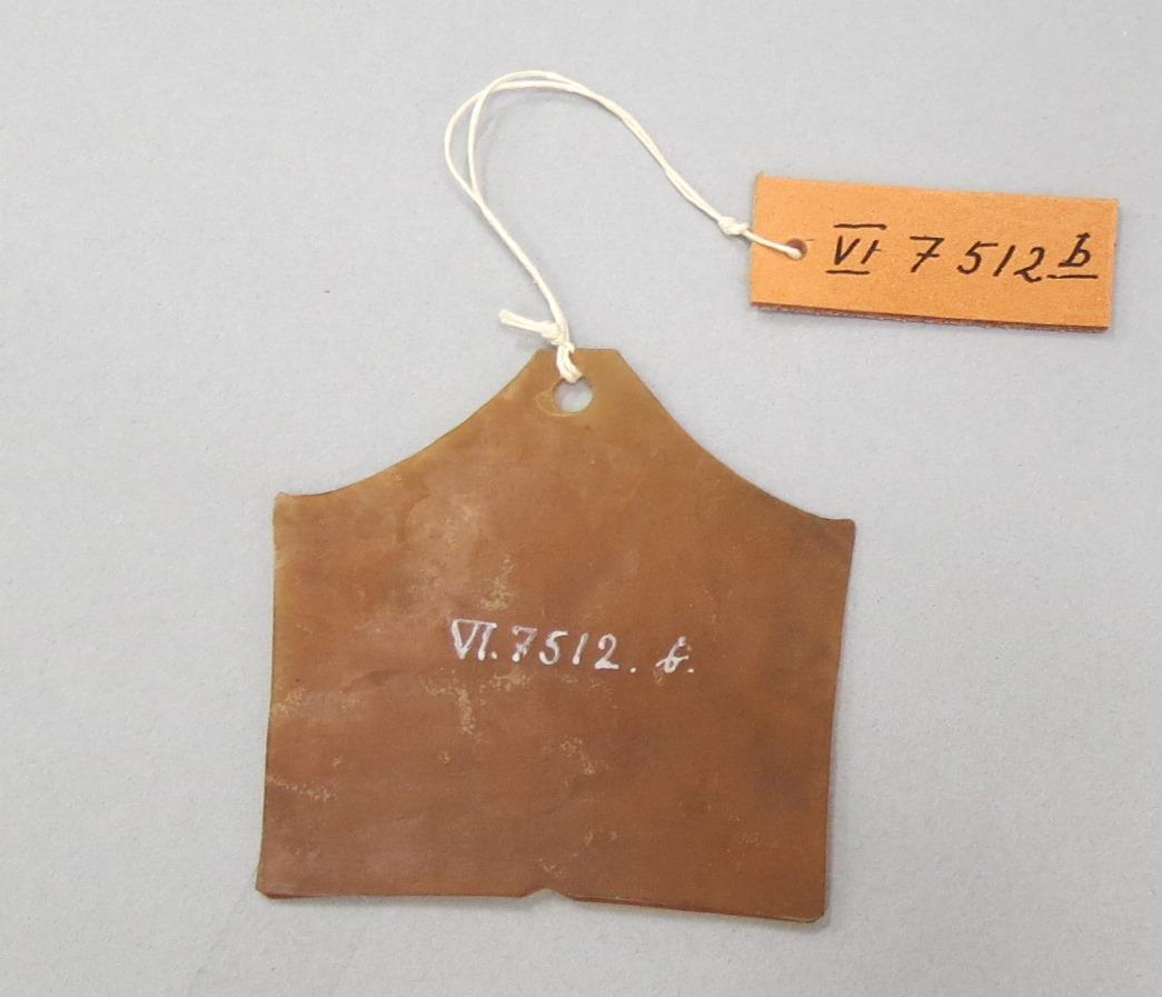 subed, subut (nach Kubary), gero (nach Kubary für Männerohrschmuck)