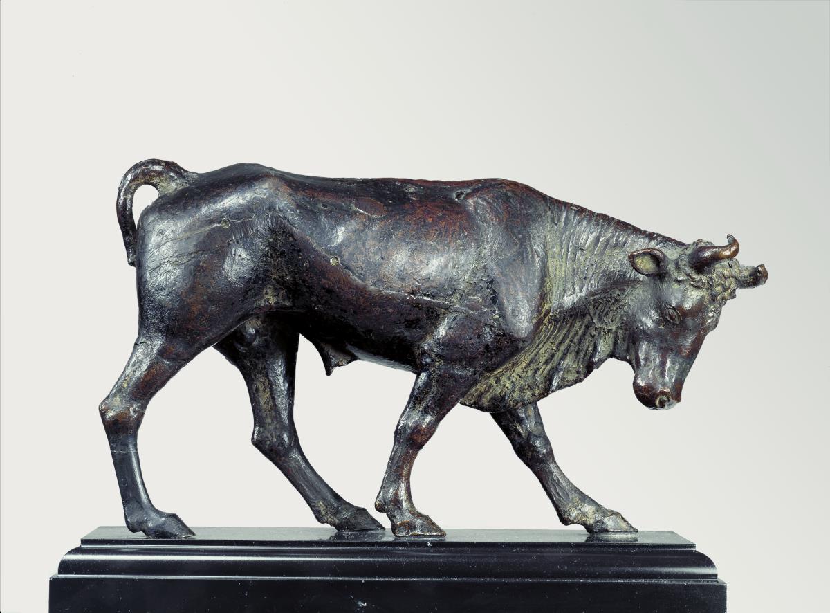 schreitender Stier