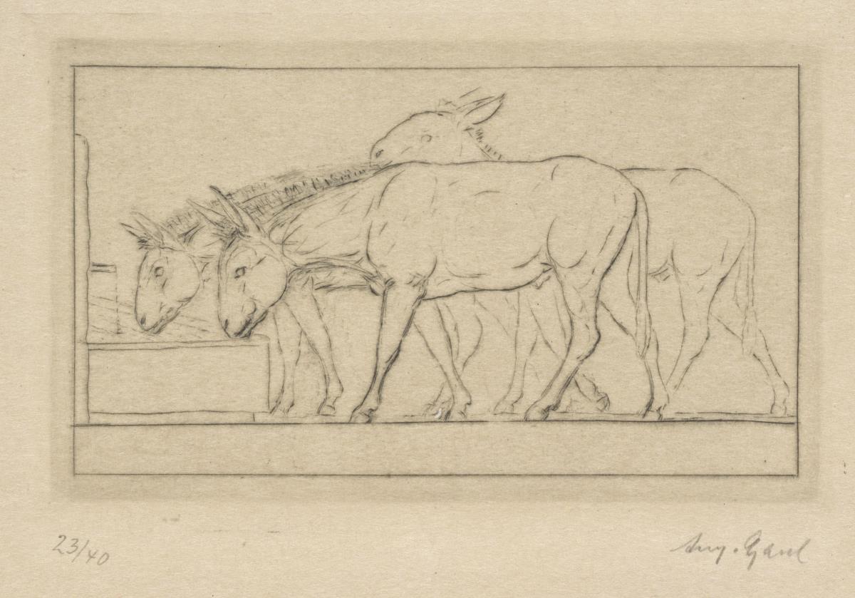 Trinkende Esel. Blatt 10 aus: Trinkende Tiere