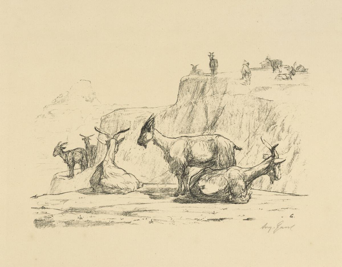 Bergziegen