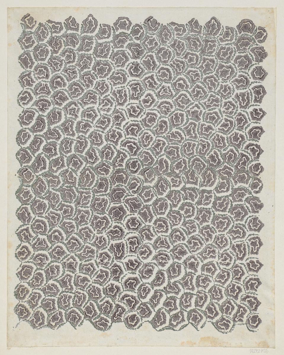 Modeldruckpapier mit Silberdruck (Netzdekor)