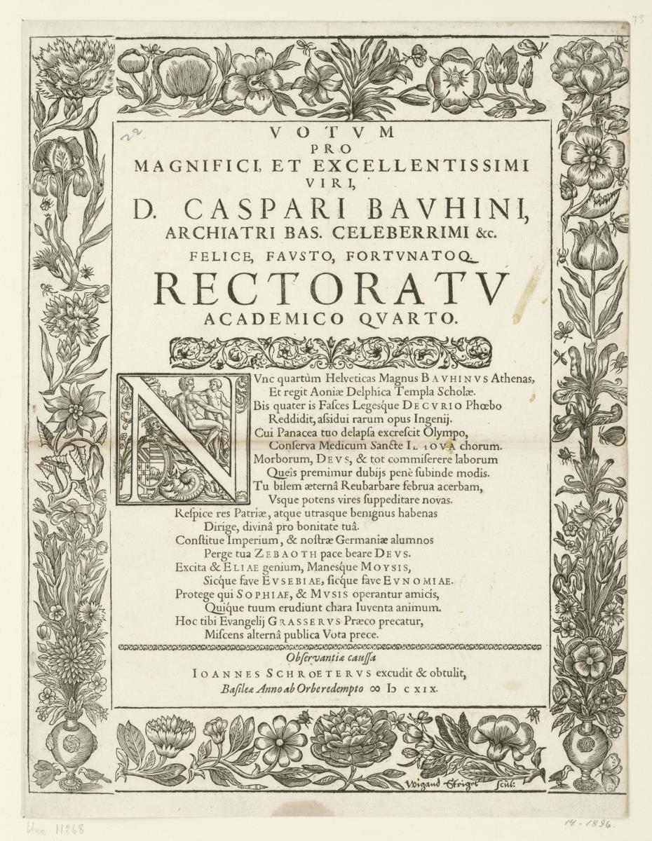 Rahmenleiste mit Blumen und Insekten