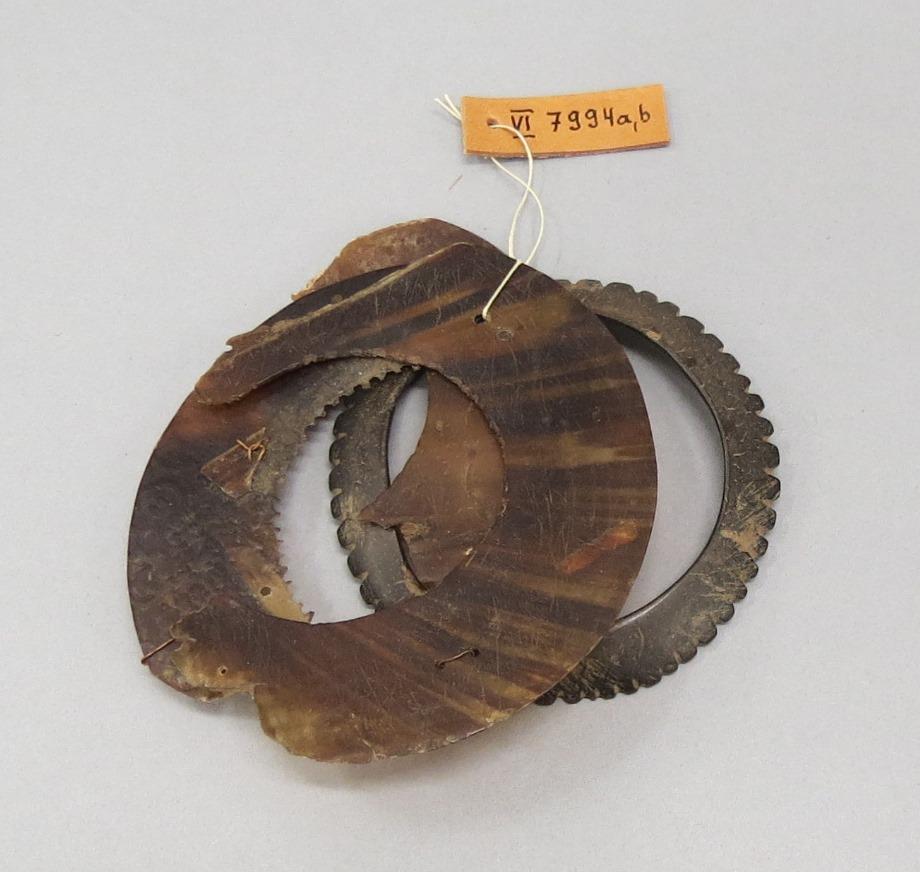 ocogumur (laut Kubary)