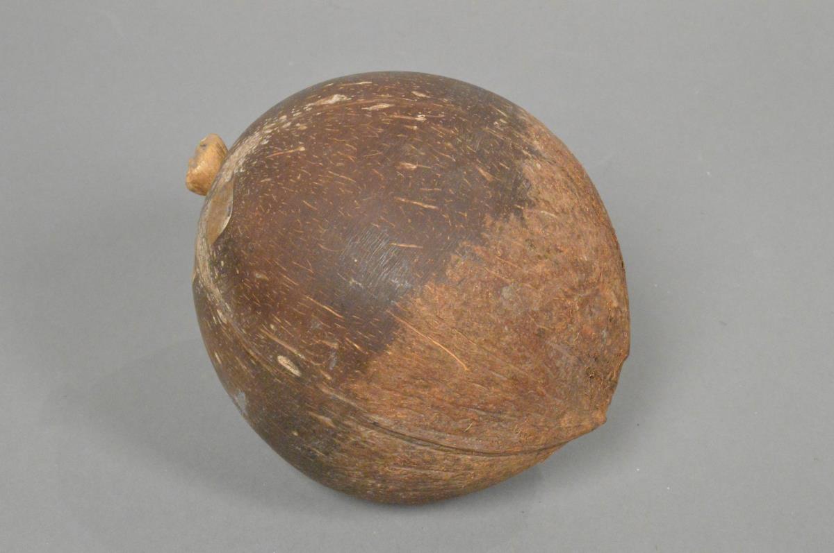 medjirong (Finsch)