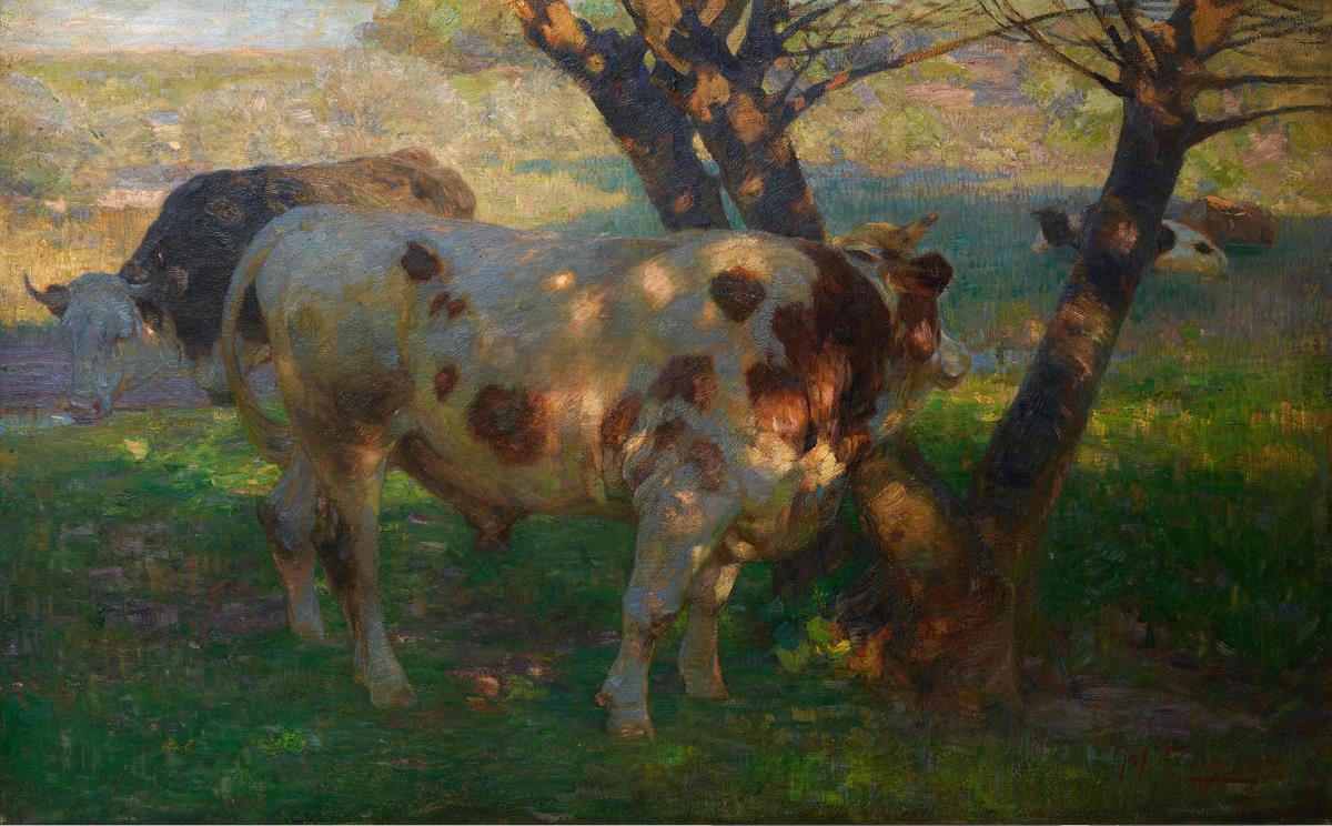 Rinder auf sonniger Weide