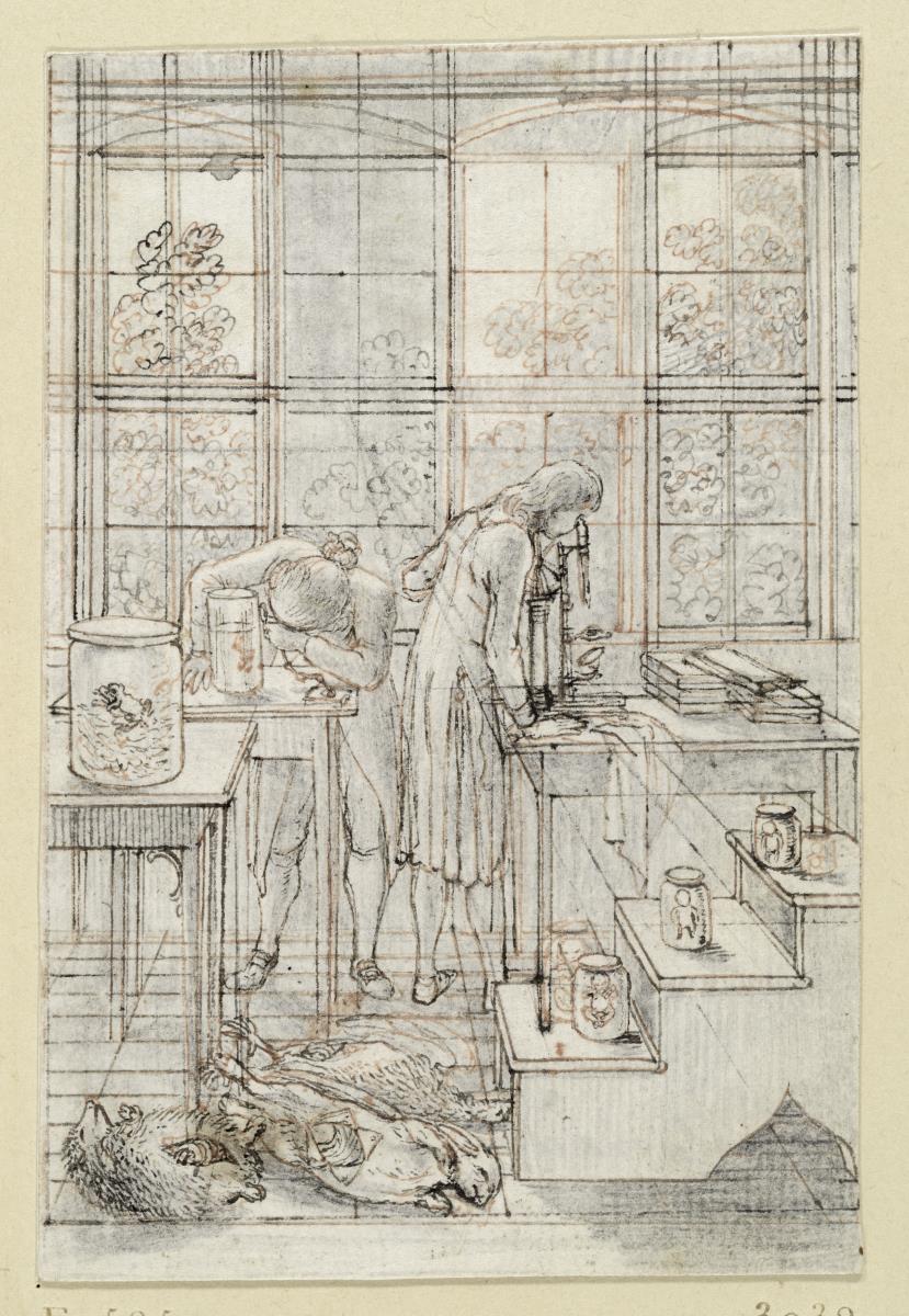 Zeichnung zum Titelkupfer der Naturgeschichte von Blumenbach: Zwei Naturforscher bei mikroskopischen Untersuchungen. E. 585