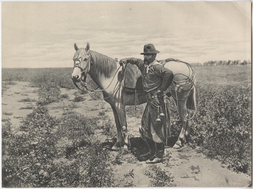 Gaucho