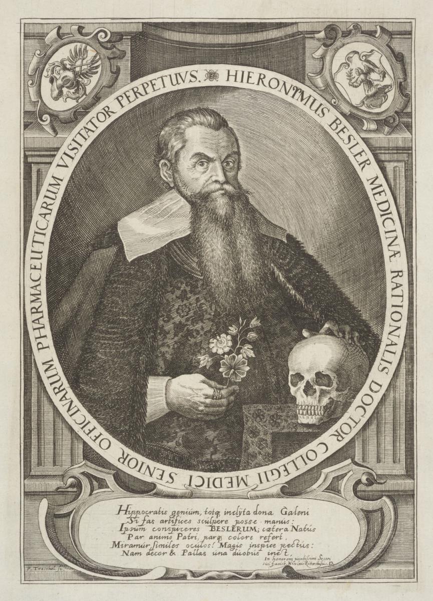 Porträt des Hieronymus Besler